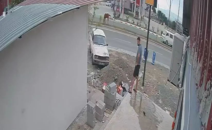 Düziçi’nde aniden yola fırlayan ata minibüs çarptı