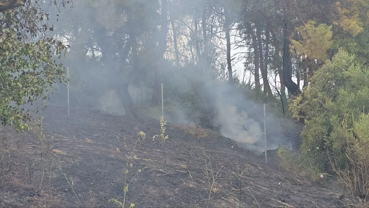 Mudanya'da bahçeden sıçrayan alevler dört dönümü küle çevirdi