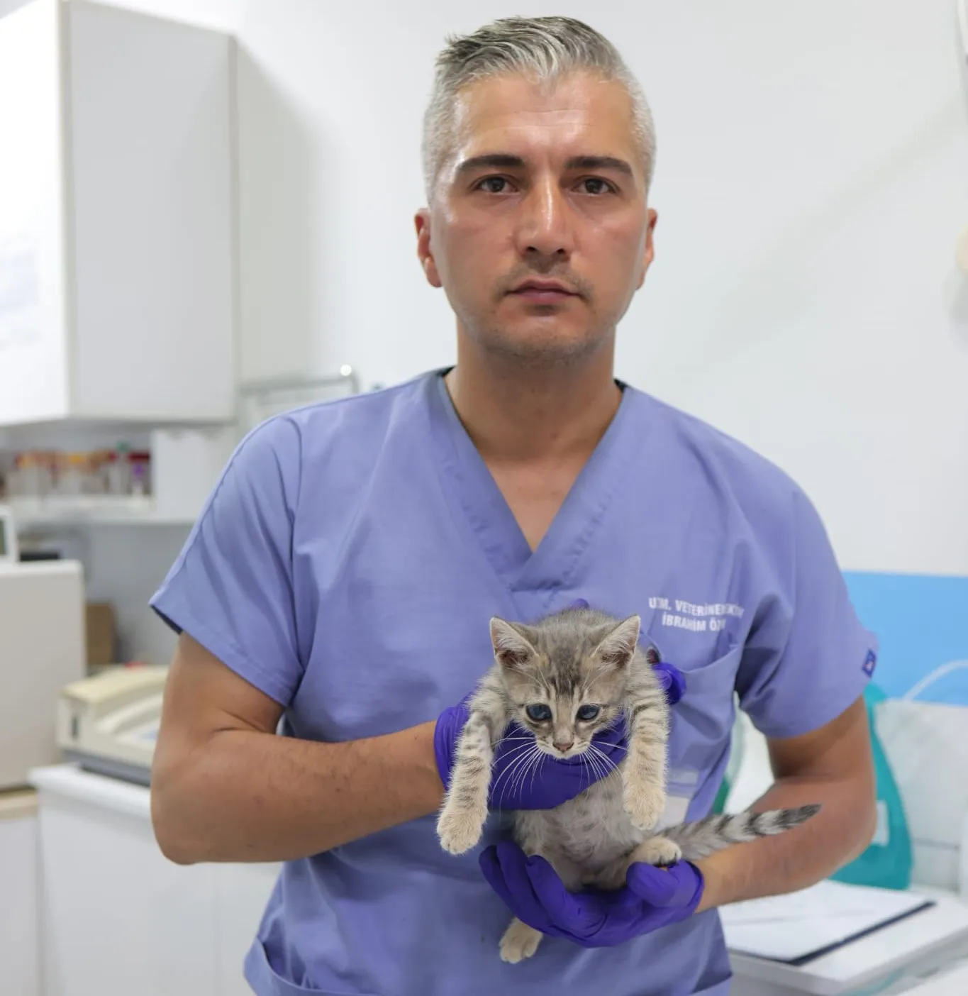 Sivaslı minik kedinin göz sağlığı için modern çözüm