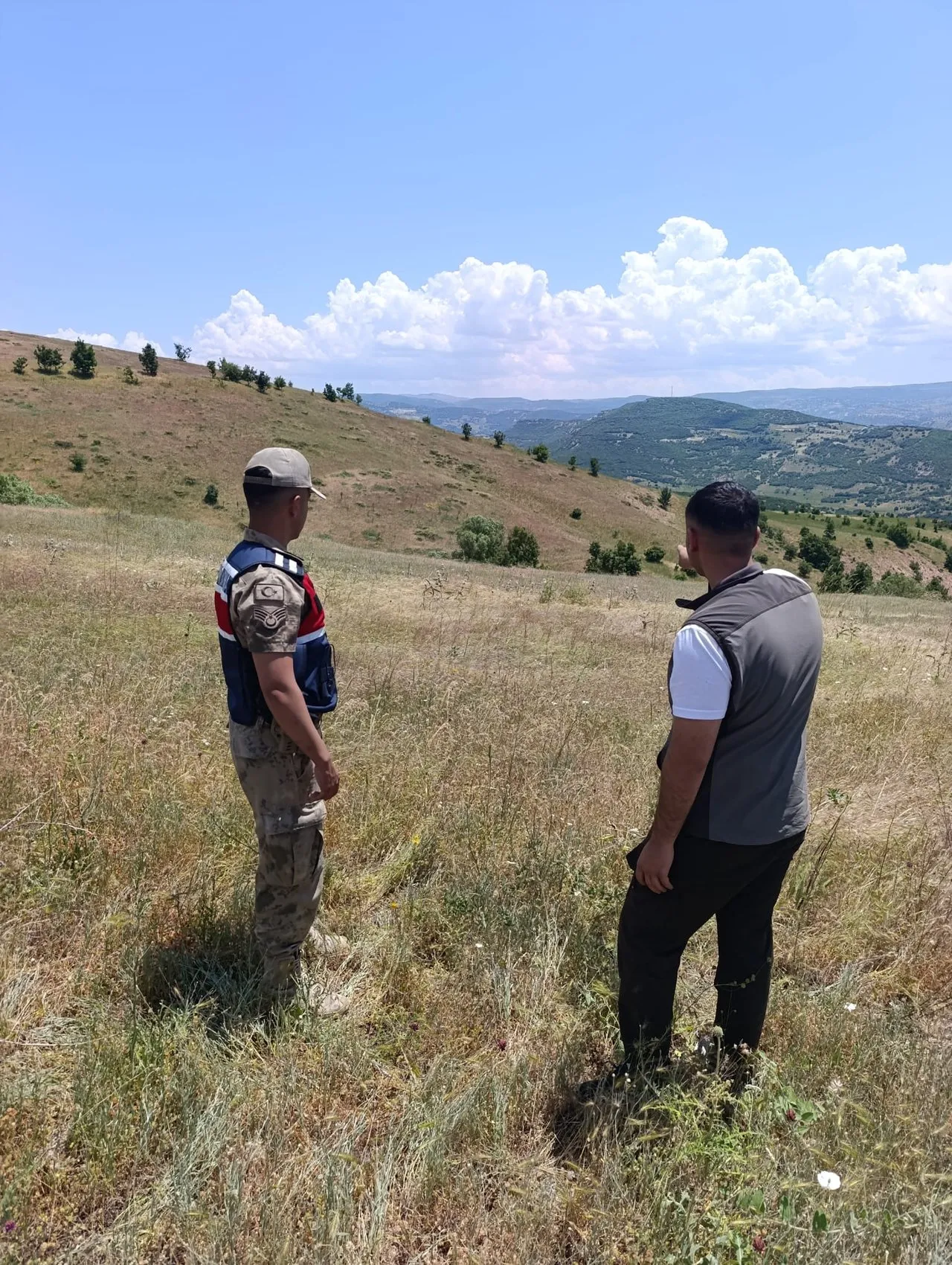Bingöl doğasından kaçak toplayanlara 4 milyon liralık ağır fatura