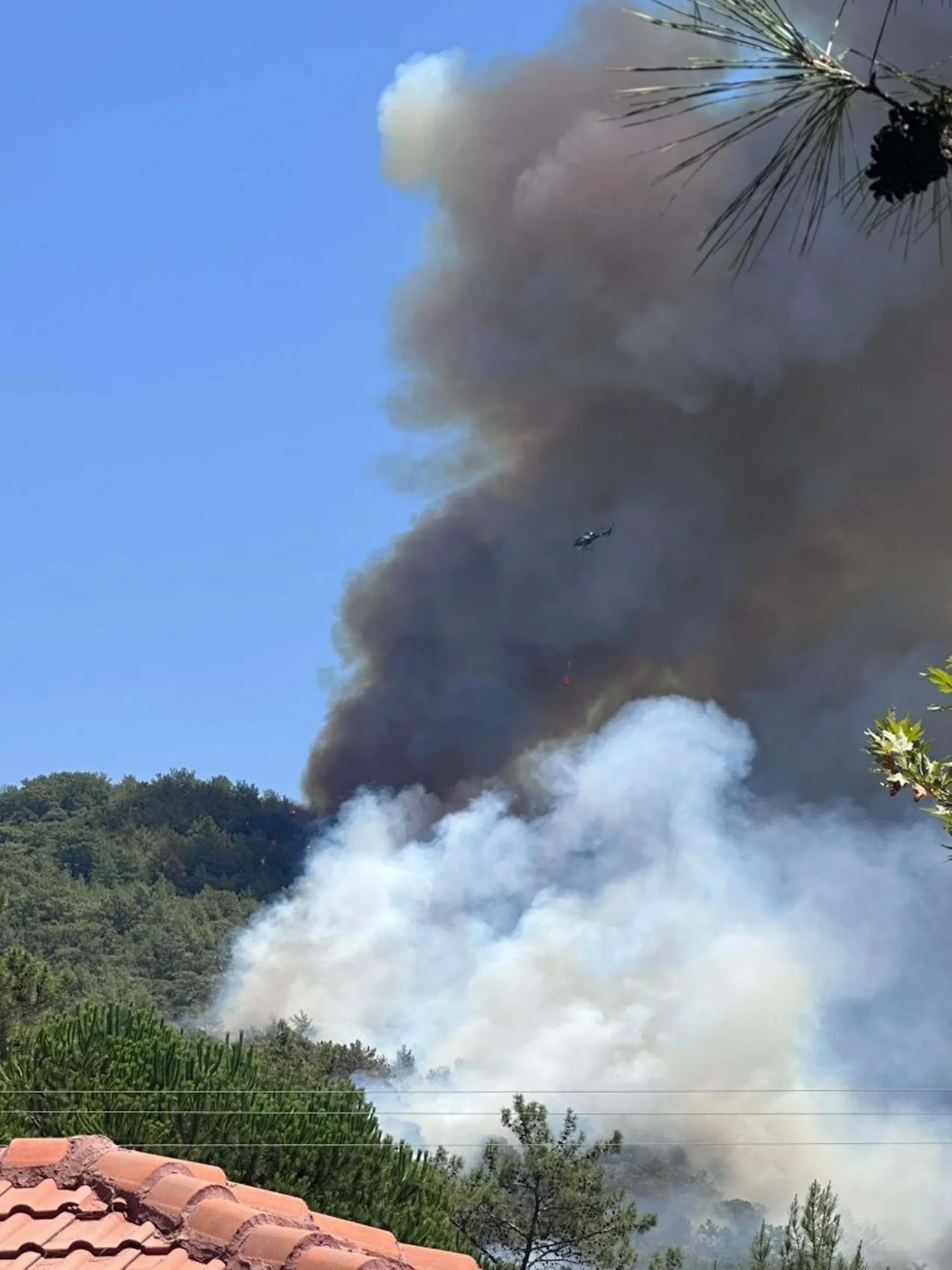 Fethiye Göcek'te orman yangını paniği