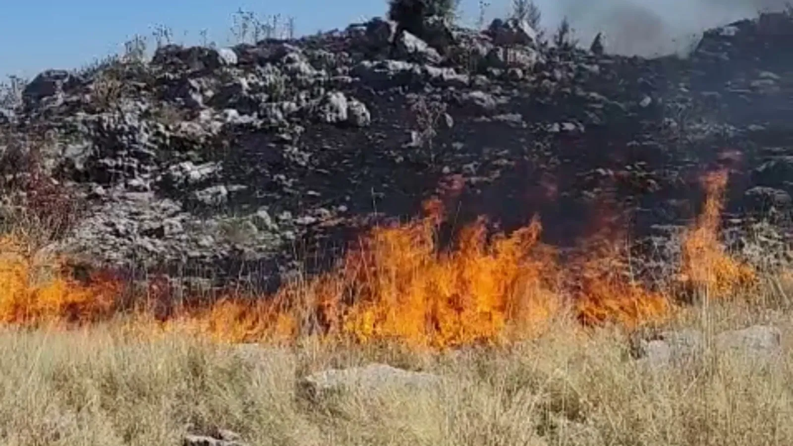 Adıyaman Kayaönü Köyü ormanlık alanında yangın çıktı