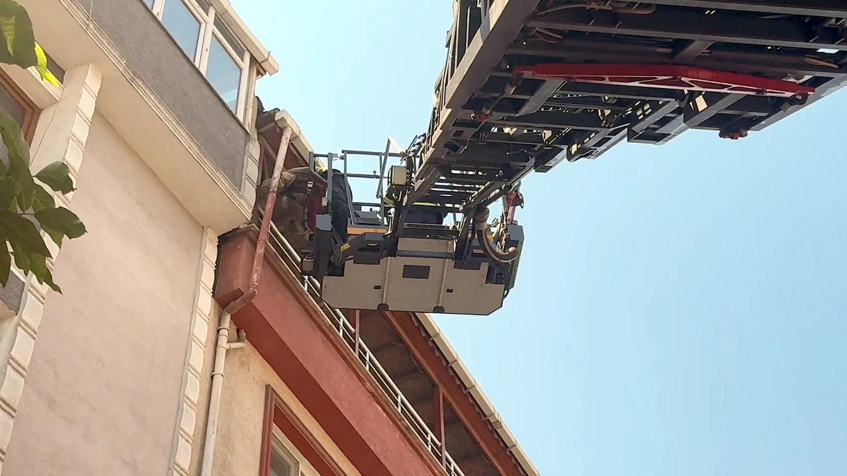 Avcılar’da bir kuşun imdadına itfaiye yetişti