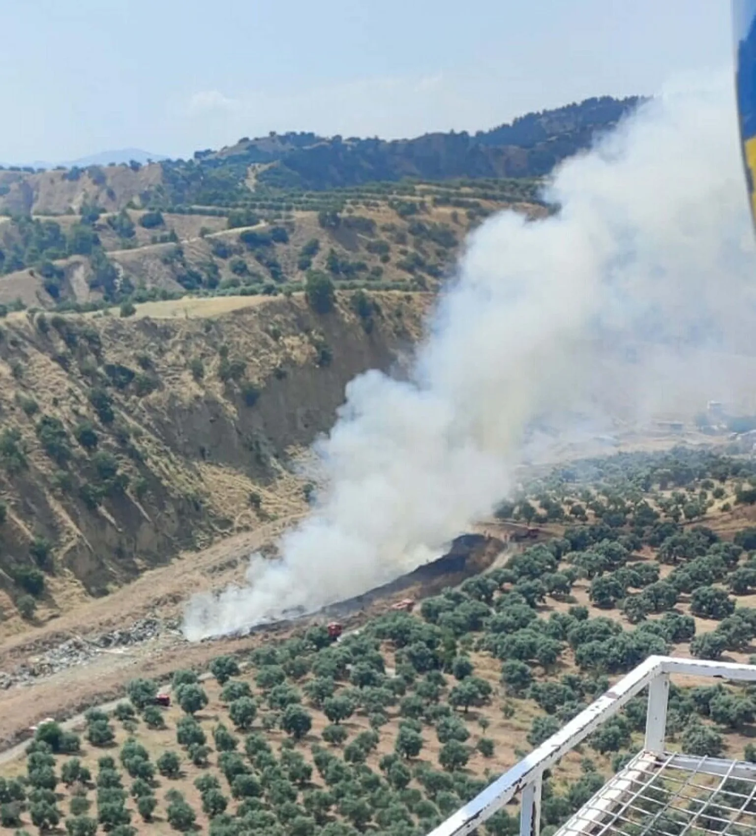 Aydın Kuyucak'ta orman yangını korkuttu