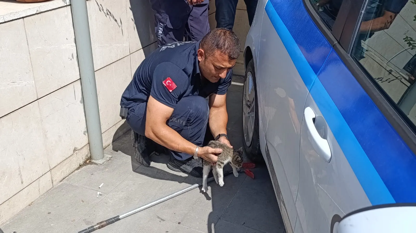 Amasya'da otomobilin motoruna sıkışan kediye itfaiye müdahalesi