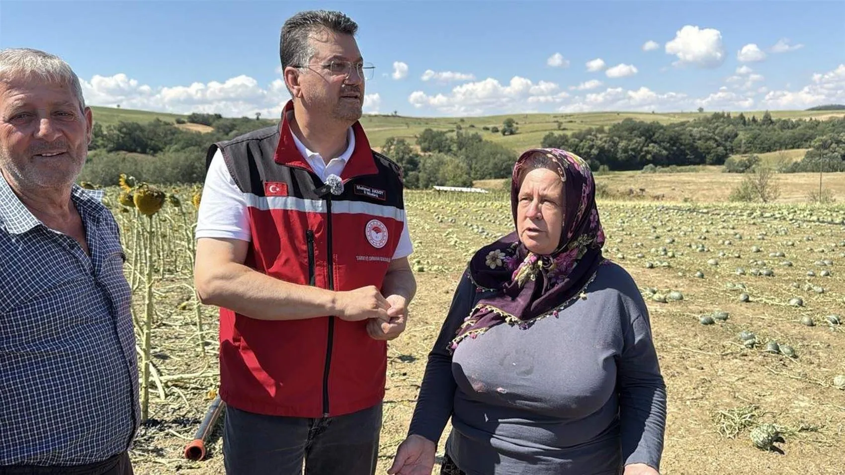 Tekirdağ'da dolu felaketi 35 bin dekar tarla zarar gördü