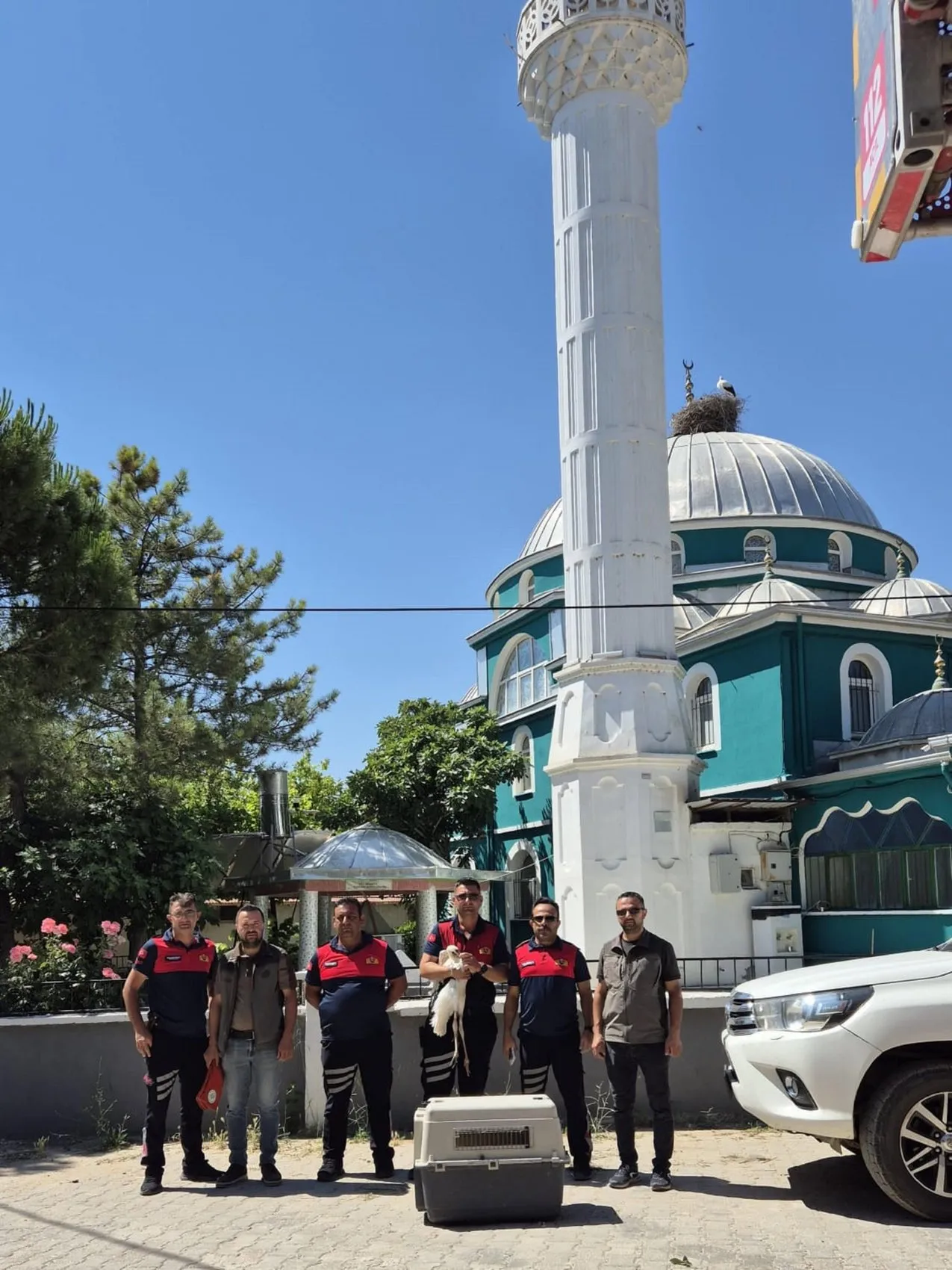 Dinar’da leylek yuvasında can pazarı