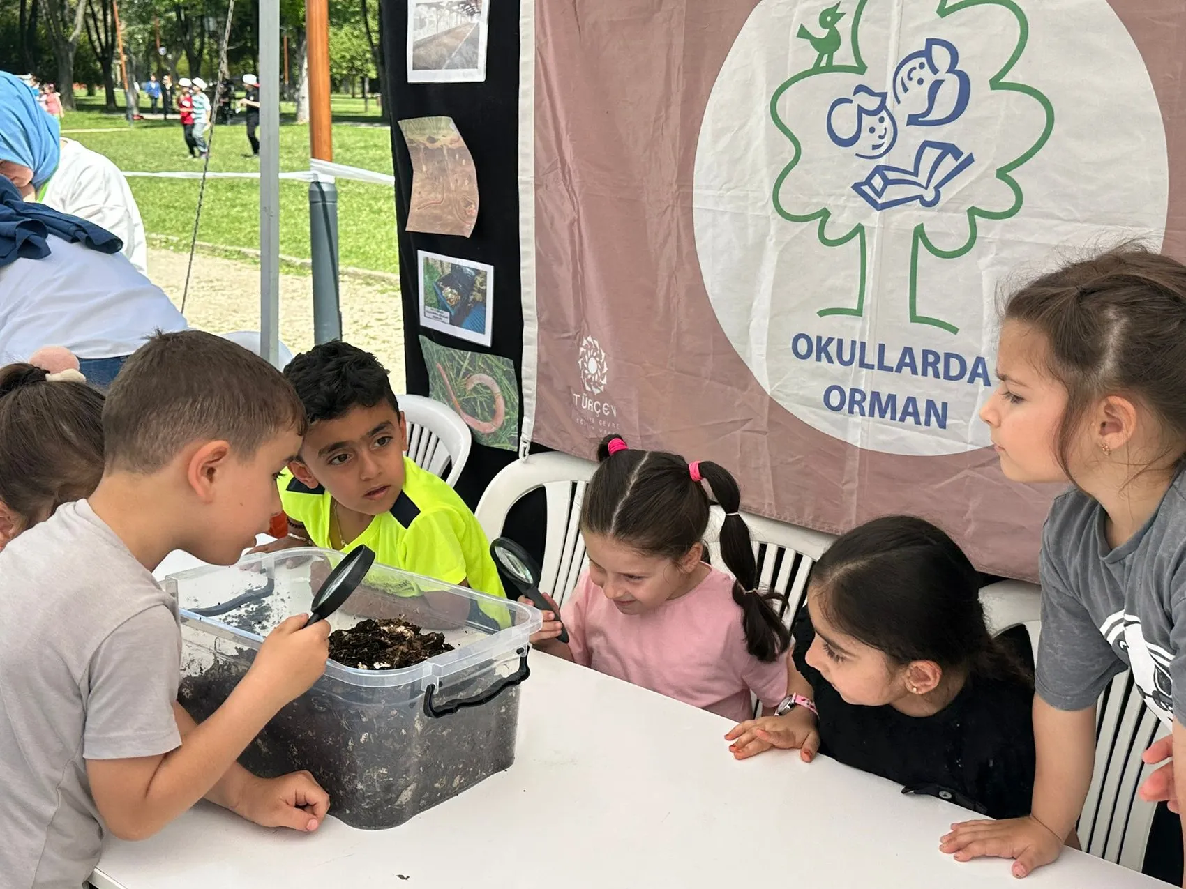 Okullarda doğa eğitimi dönemi 267 okul orman bayrağı kazandı