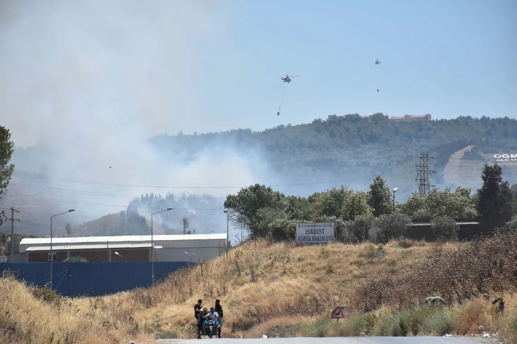İzmir'de ot yangını ormana sıçradı