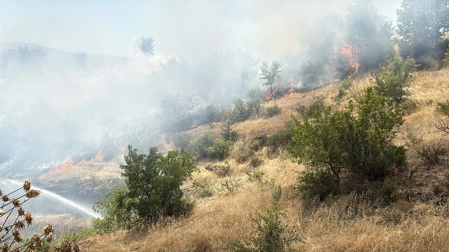 Safranbolu’da yangın paniği 100 dönümlük arazi küle döndü
