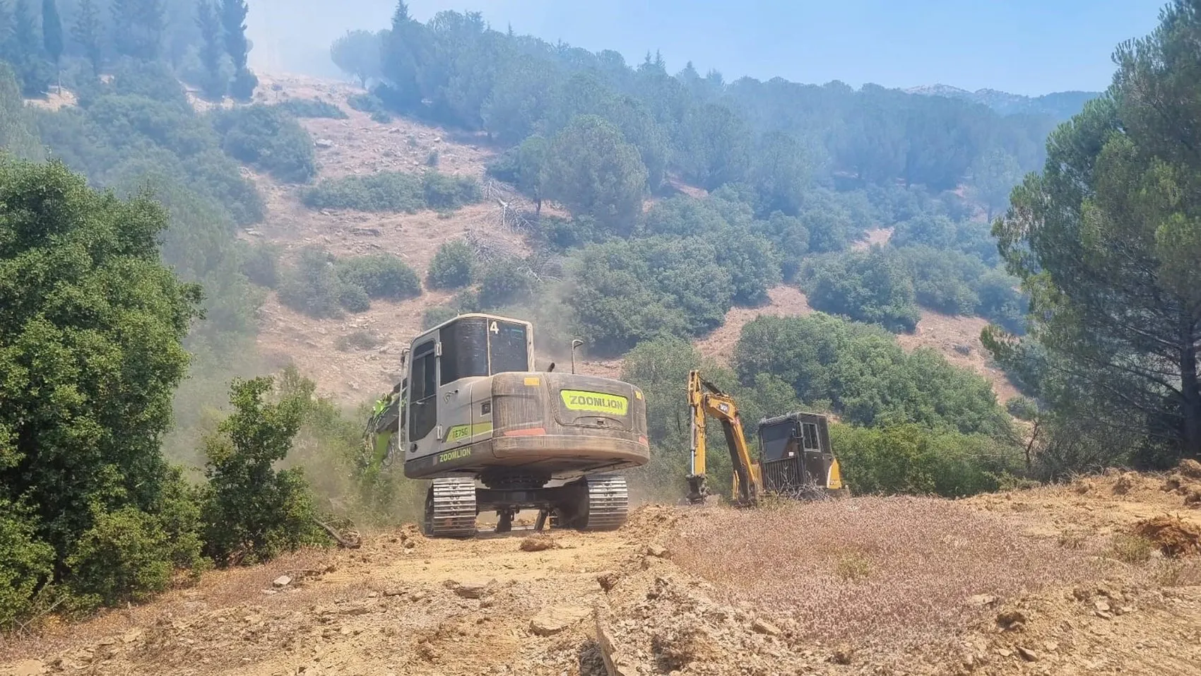 Aydın Kuyucak’ta orman yangını kontrol altına alındı