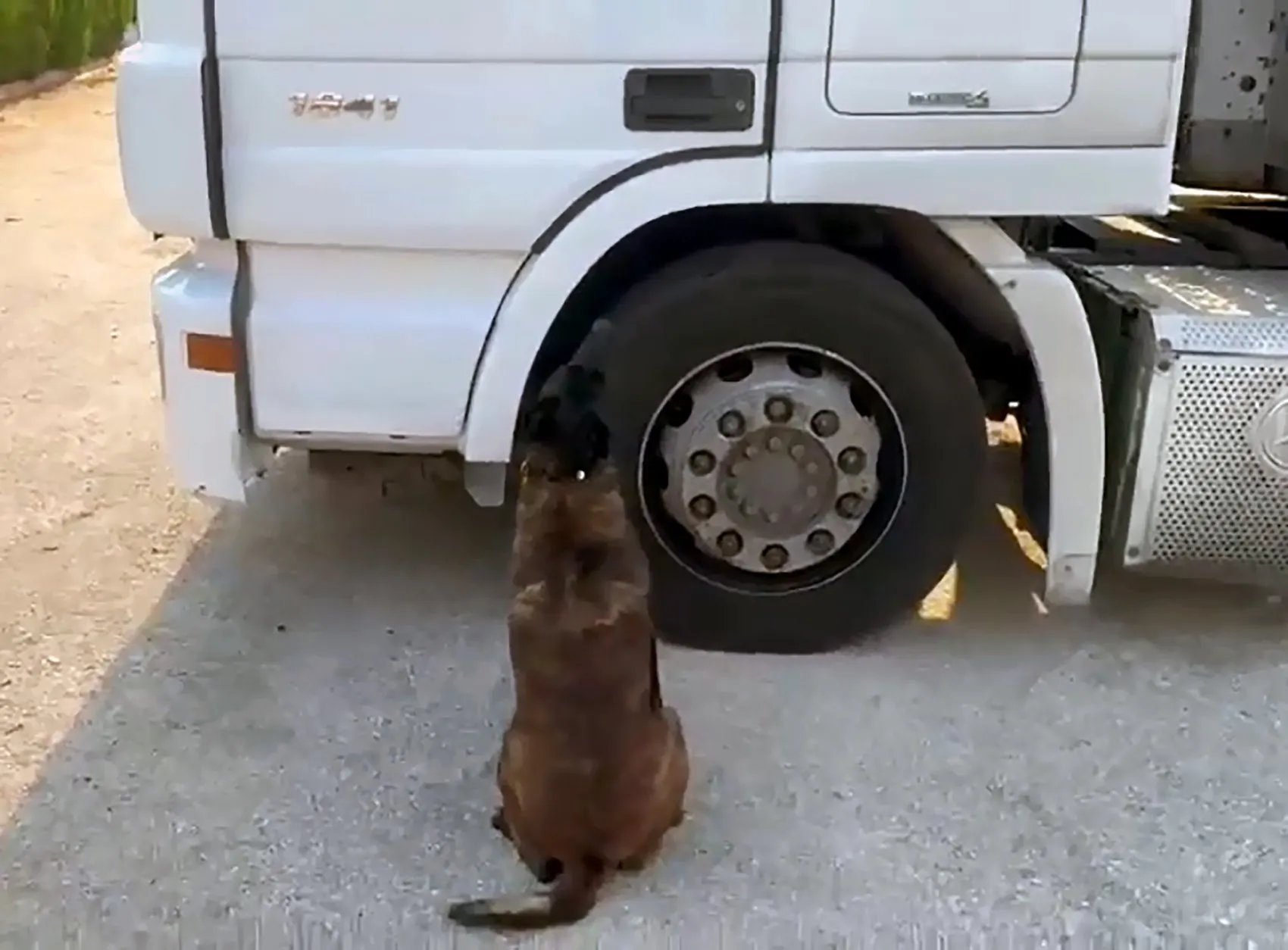 Adana yolunda narkotik operasyonu TIR’da uyuşturucu yakalandı