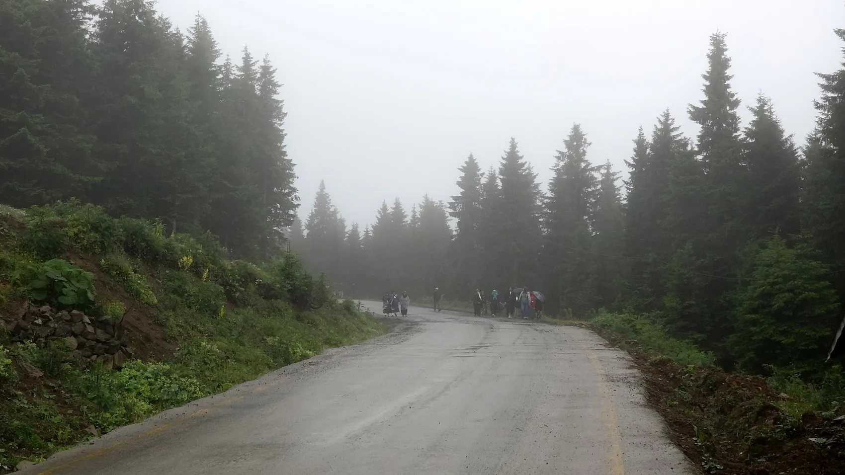 Trabzon yaylalarında asırlık göç geleneği şenliğe dönüştü