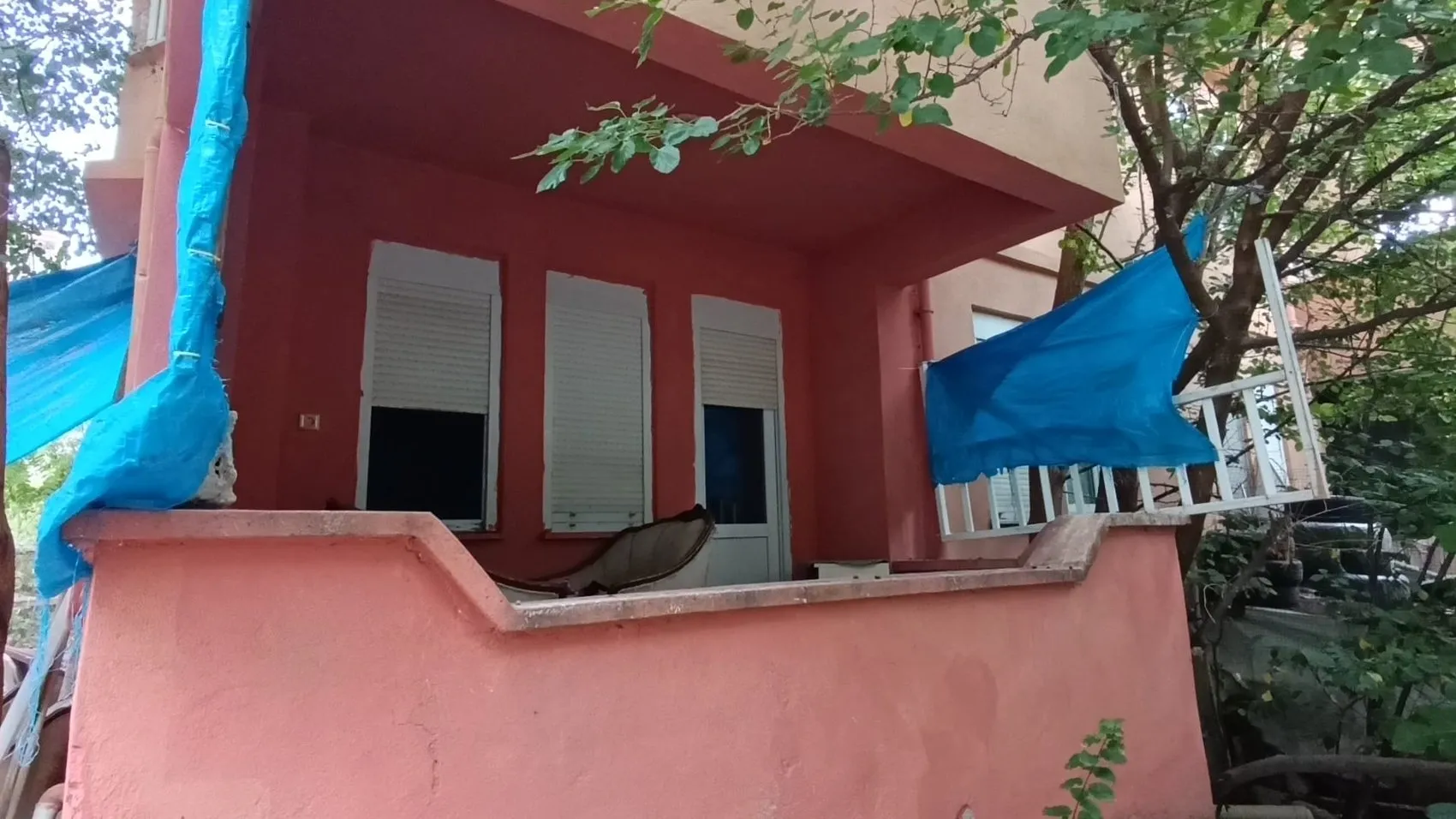 Amasya'da evdeki sekiz kedi ölü bulundu