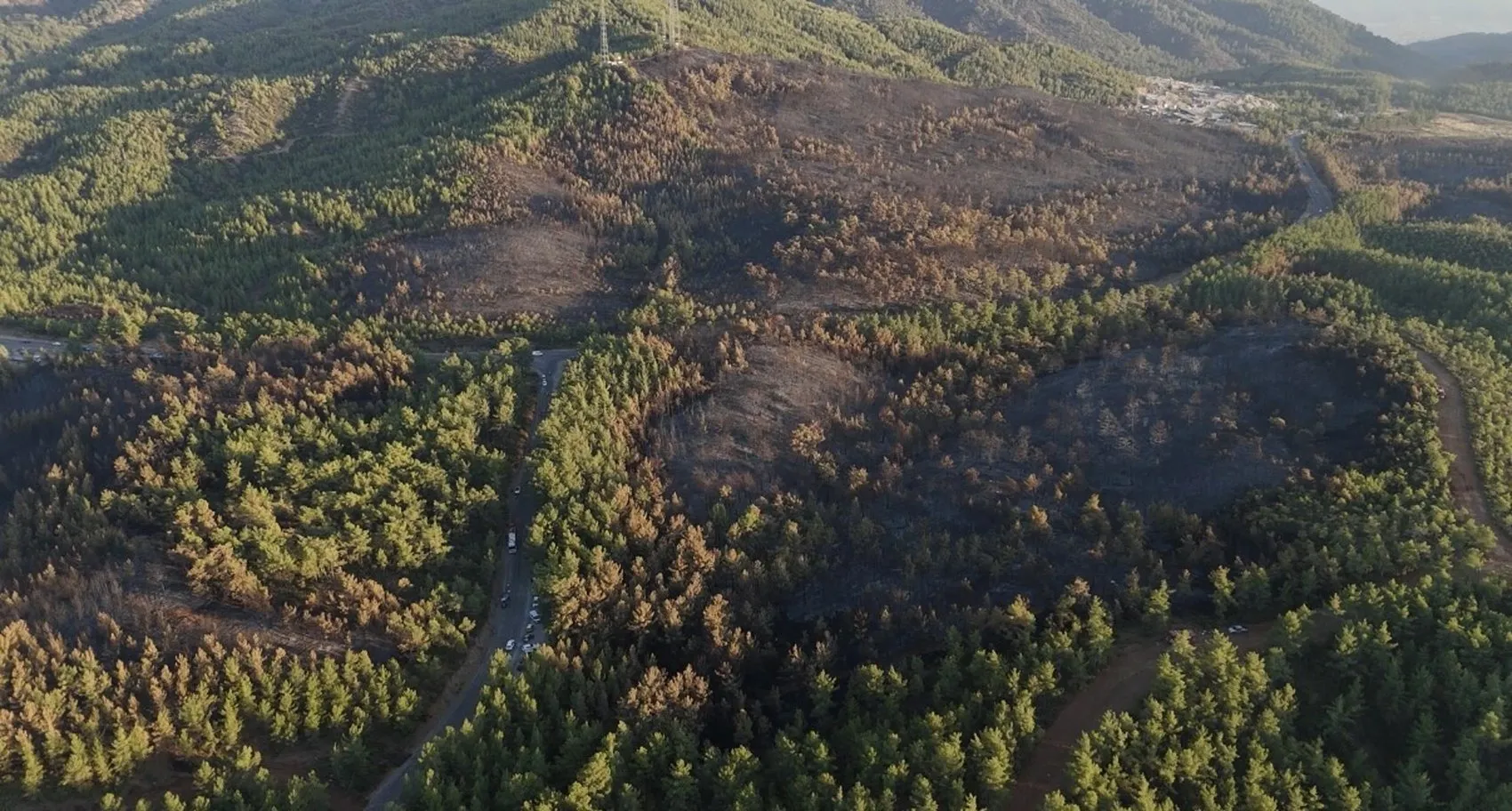 Muğla ormanları küle döndü 5 bin hektar alan yandı
