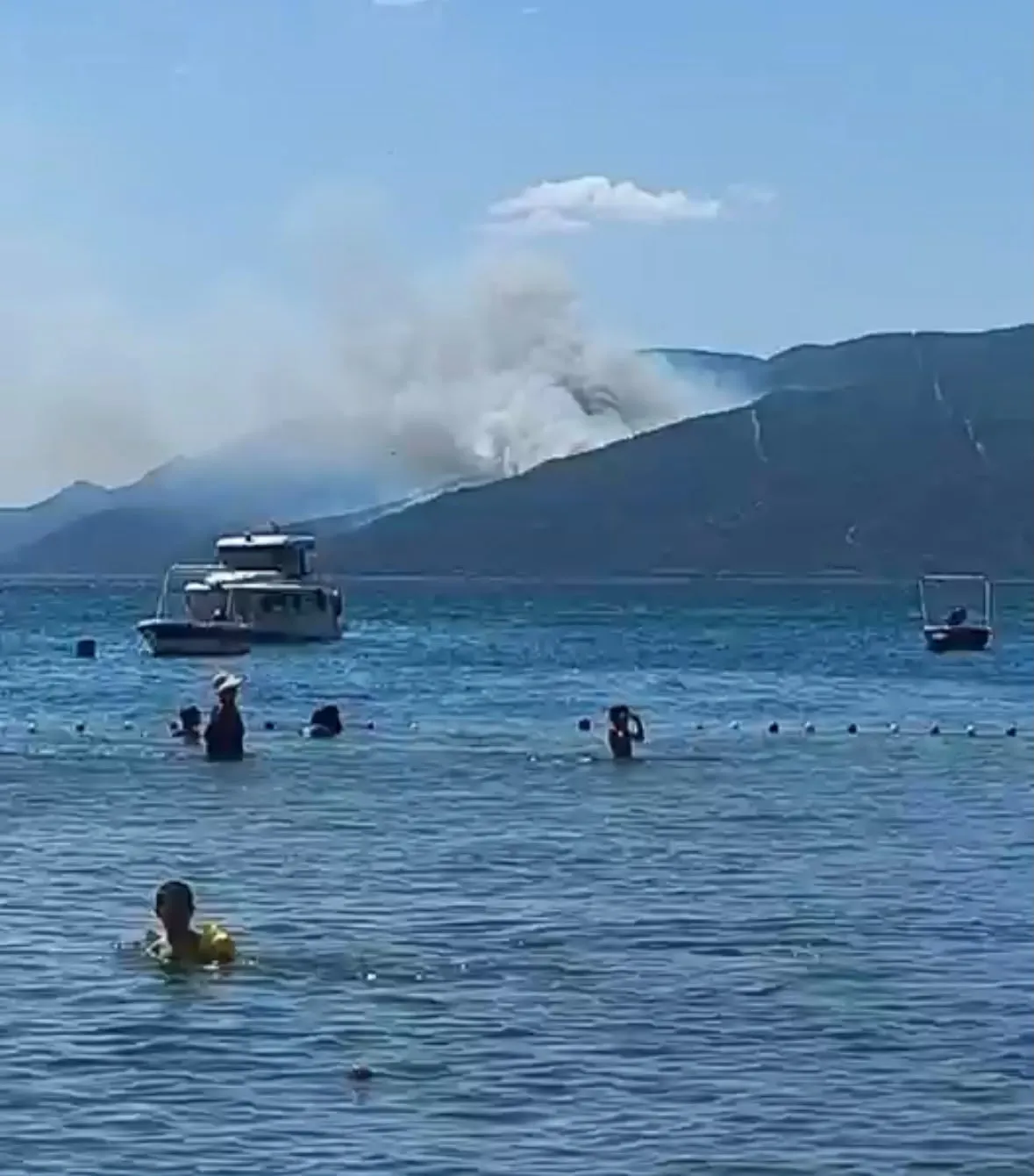 Yalova Armutlu sahilinde orman yangını paniği