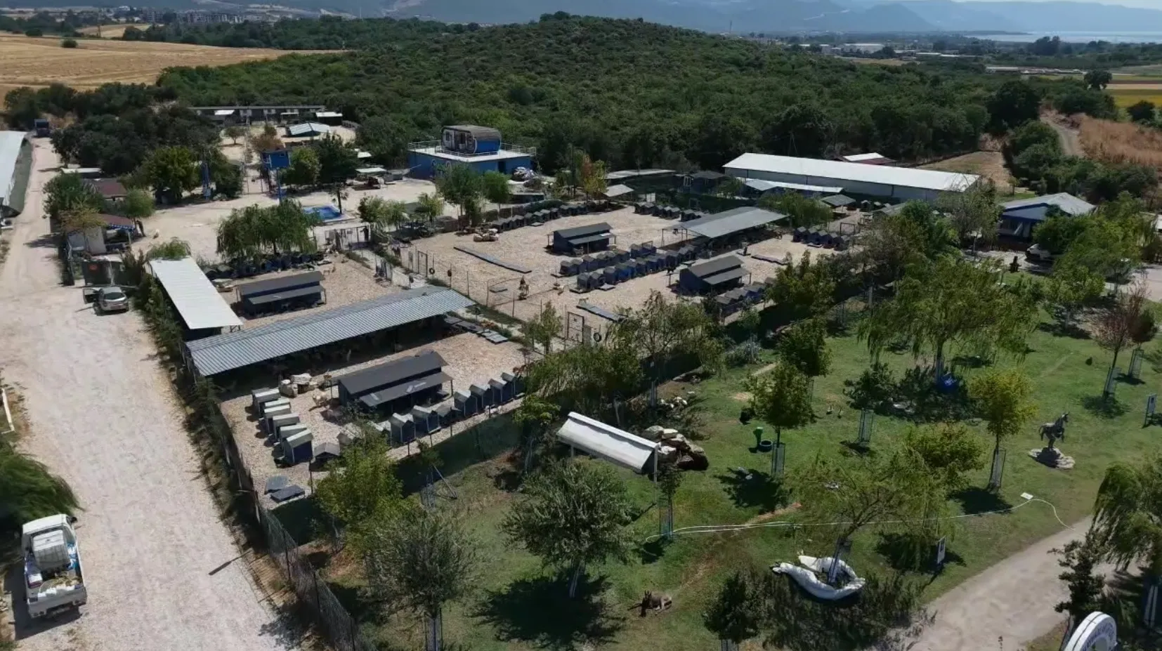 Bursa'da hevesi kaçanlar köpeklerini sokağa terk ediyor