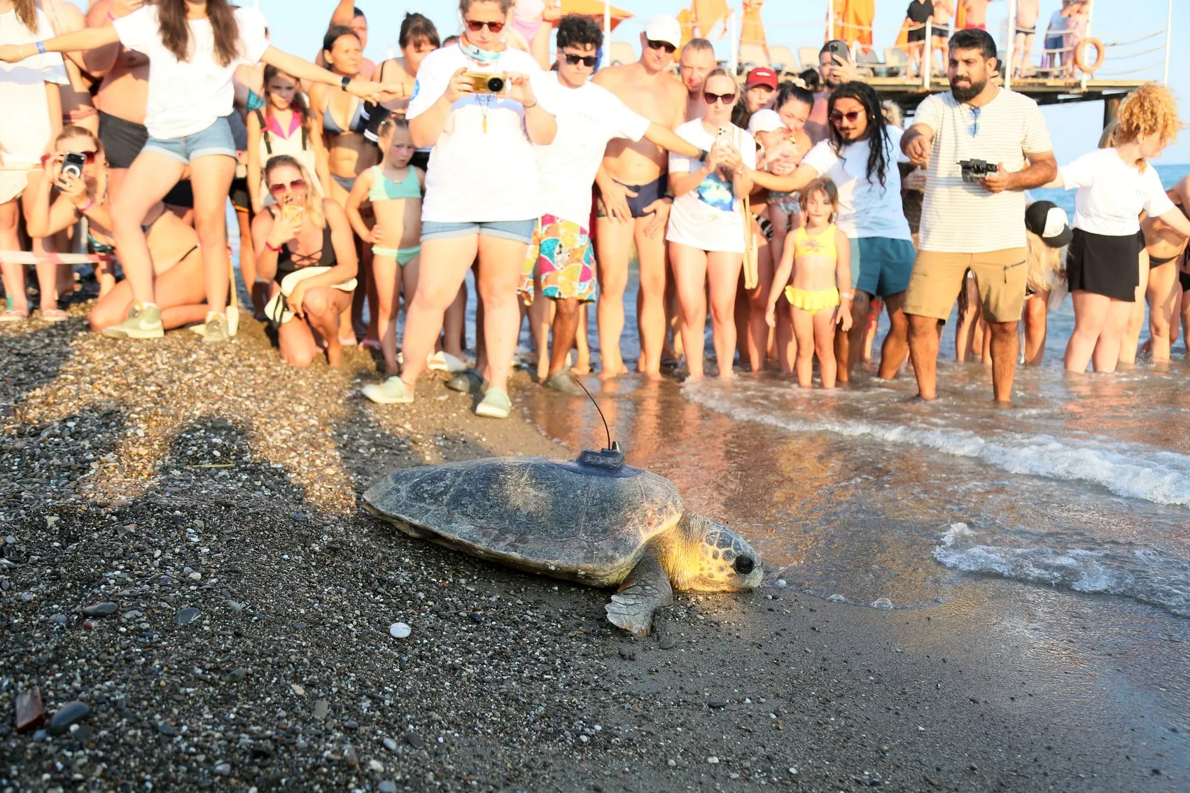 Antalya kıyılarında engelli carettaya uydu takibi