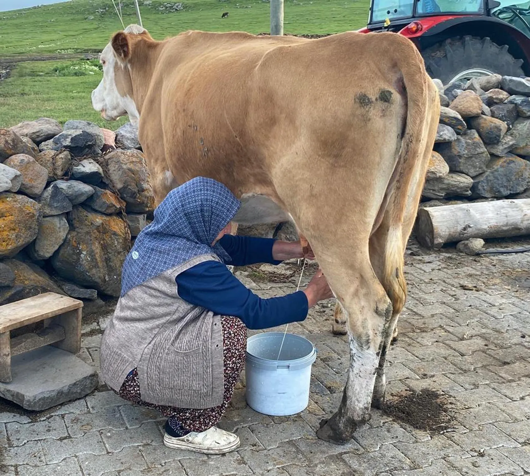 Karslı üreticiler 2 bin metrede kışlık hazırlığa başladı