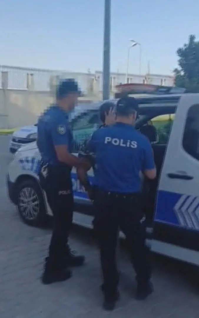 Silivri'de köpeklerin üzerine aracını süren sürücü cezaevine gönderildi