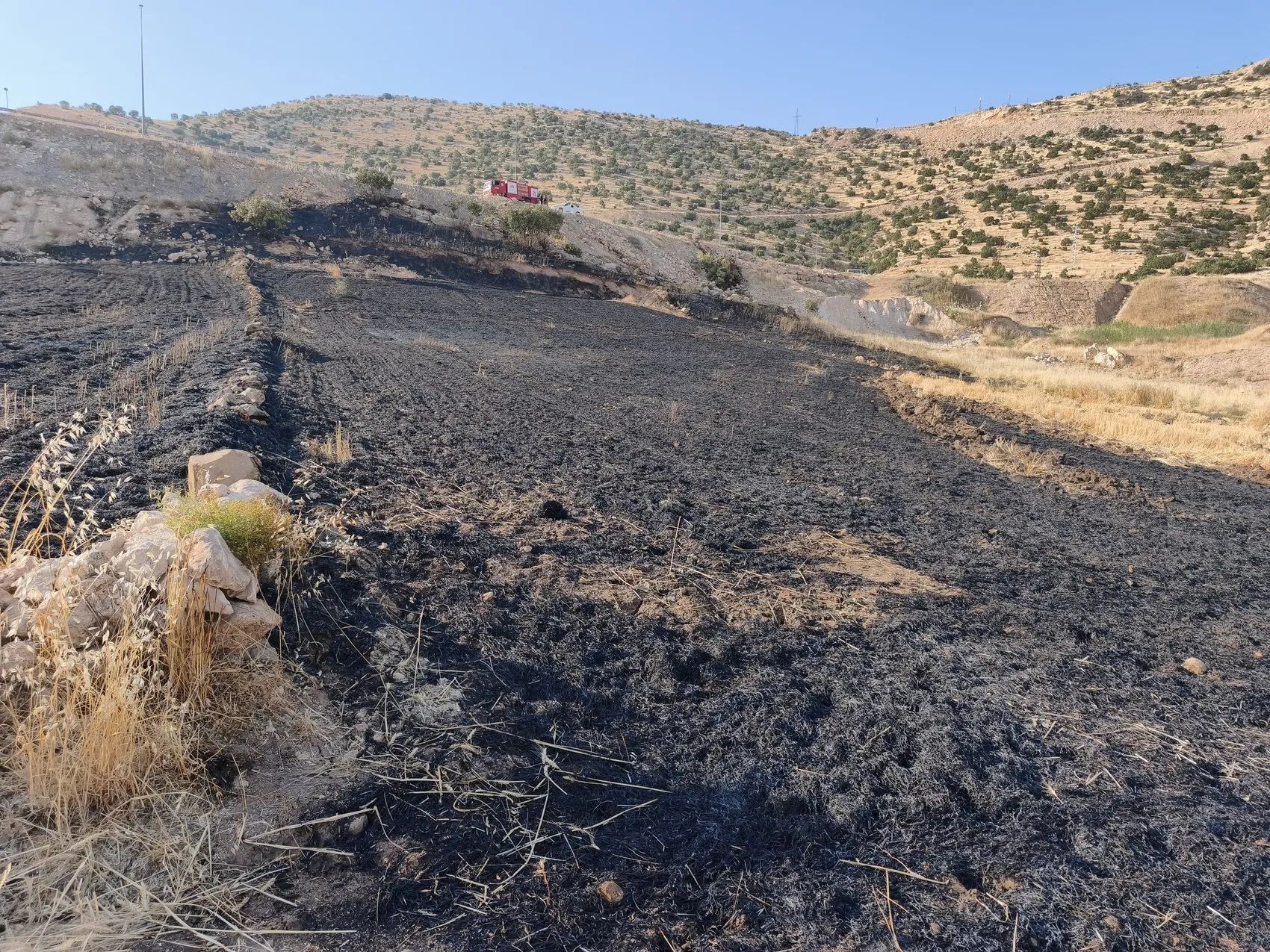 Cizre'de uyuyan çoban alevlerin arasında kaldı