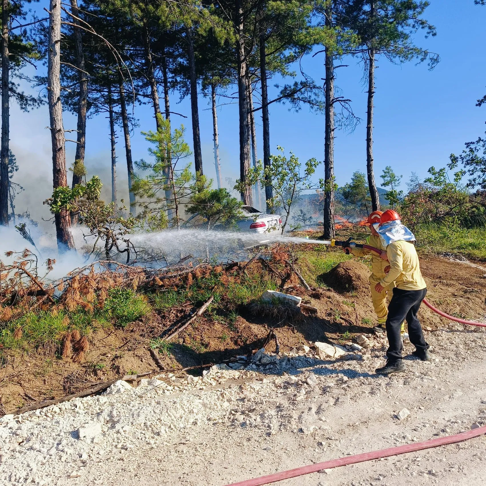 Karabük'te park halindeki otomobil ormanı küle çevirdi