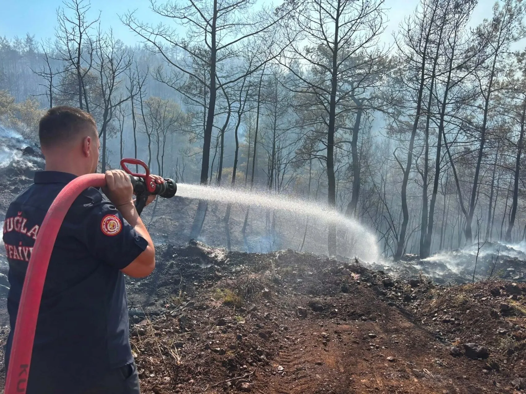 Fethiye ormanlarında rüzgar yangını yeniden tetikledi
