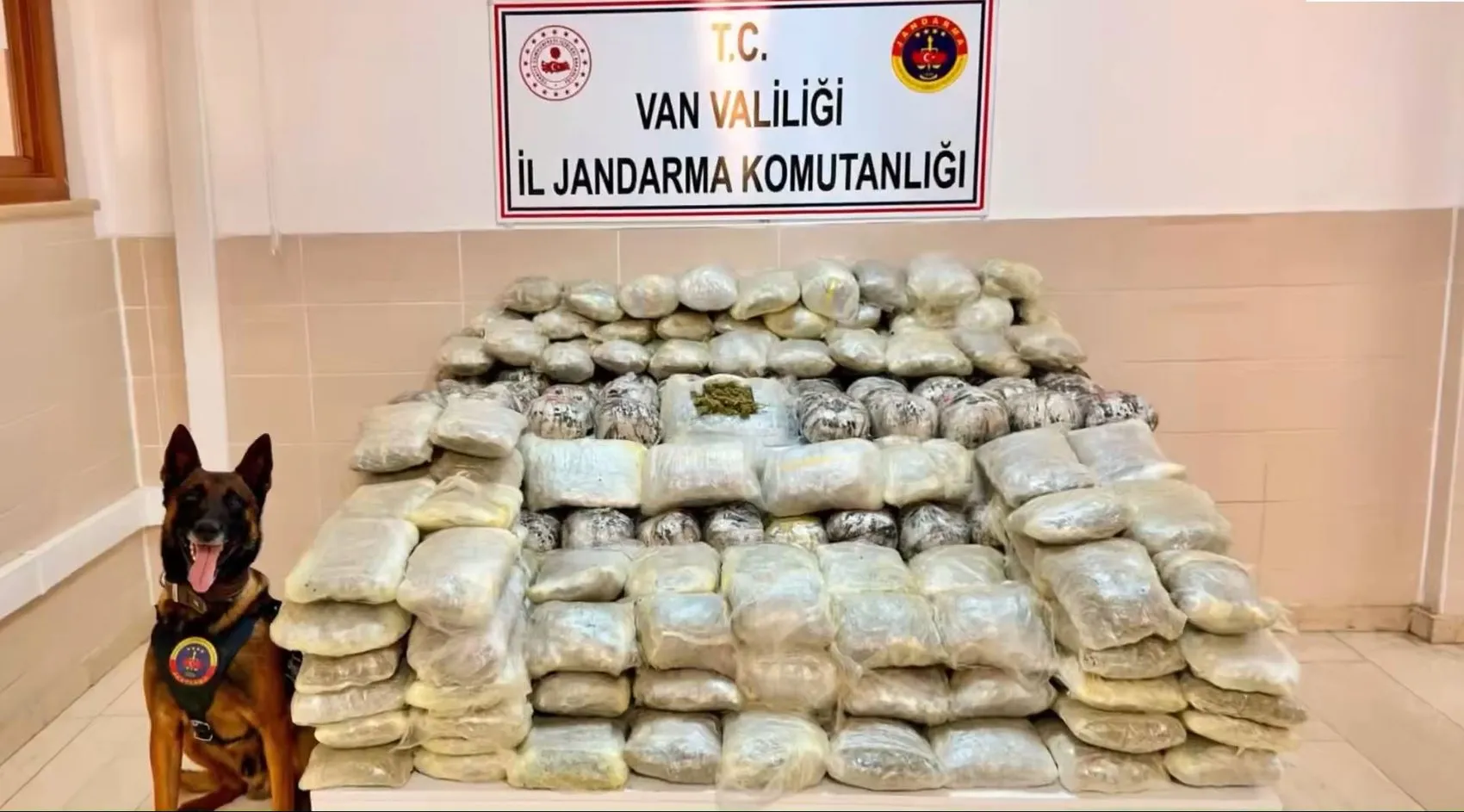 Türkiye genelinde zehir tacirlerine büyük darbe