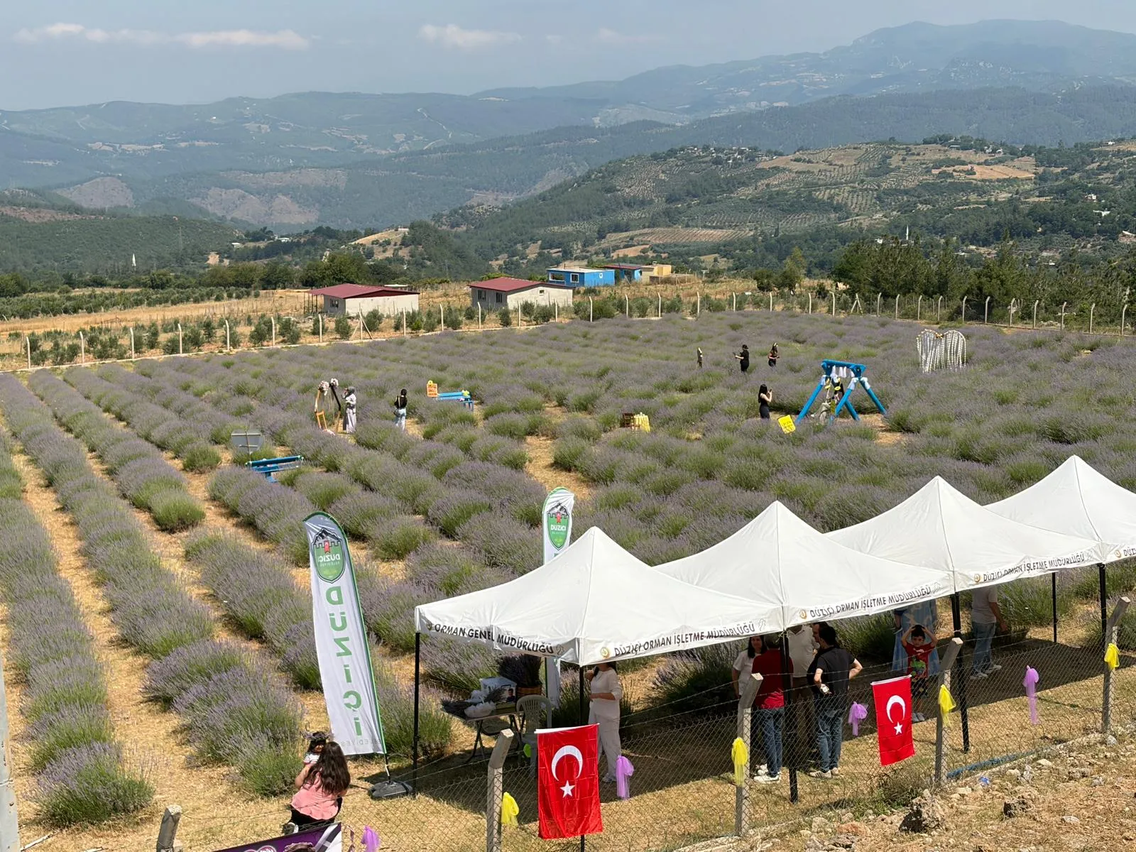 Osmaniye'de lavanta bahçesi 11 yaşındaki Uygar için açıldı