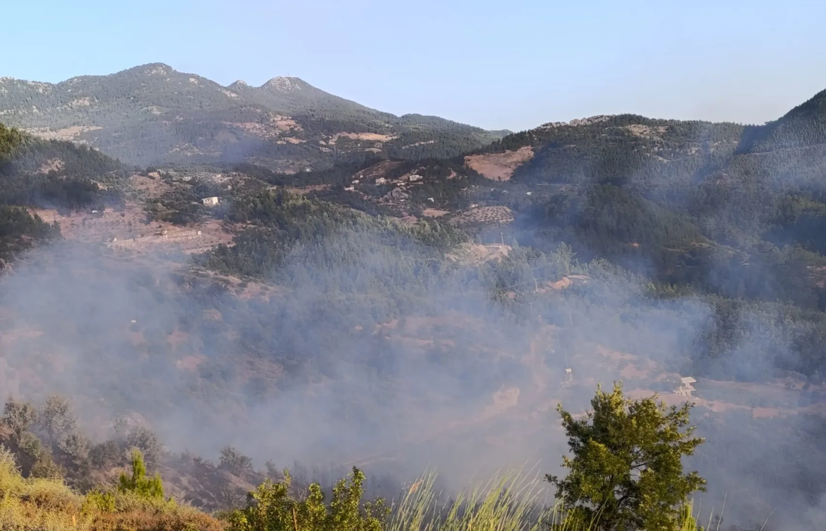 Alanya Sapadere'de orman yangını paniği