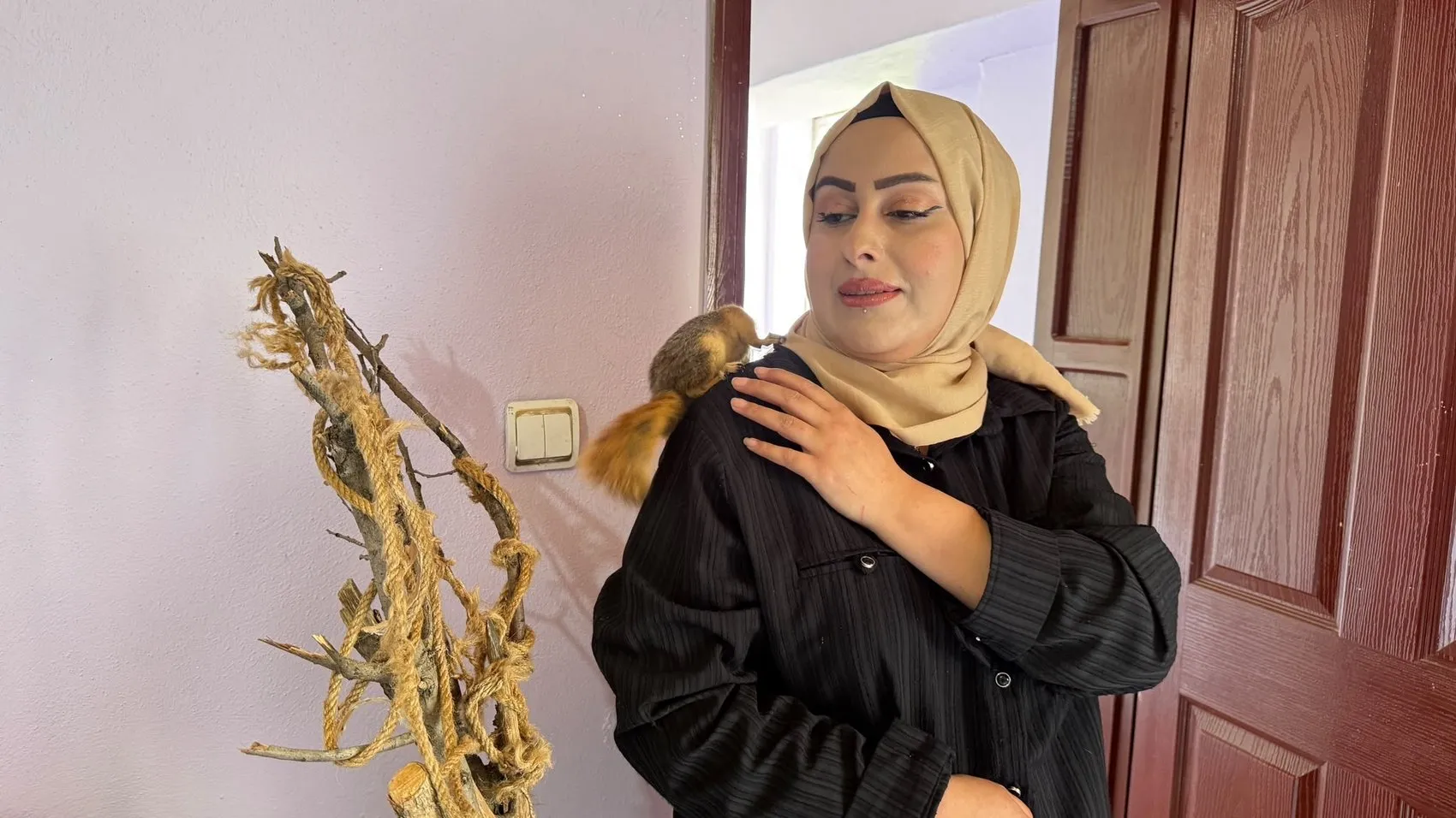 Şemdinli’de bir sincabın ilginç ev macerası
