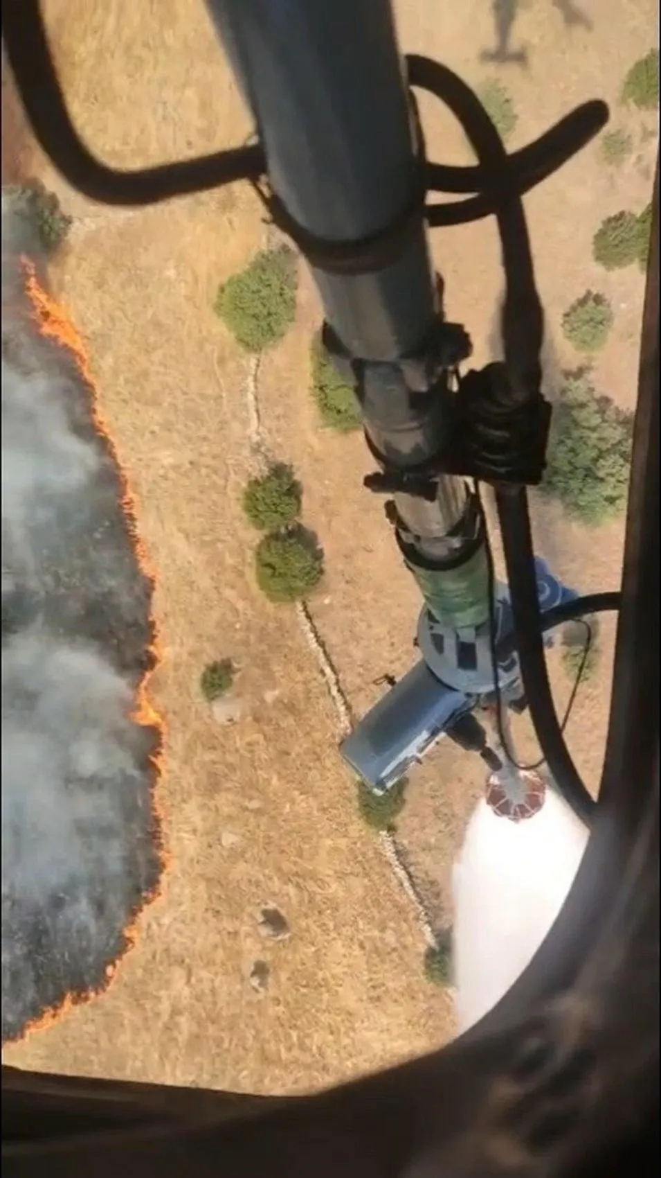 Efeler’de orman yangını paniği