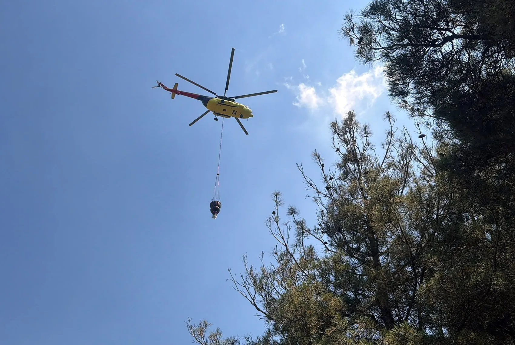 Osmaniye Yarpuz’da orman yangını paniği