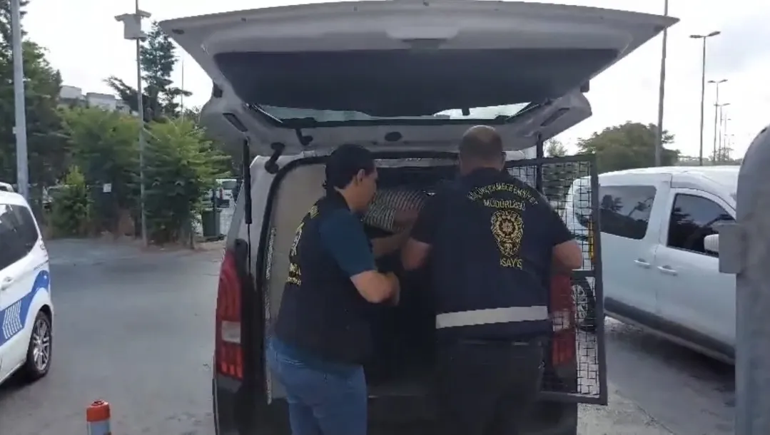 Küçükçekmece'de gece yarısı dehşeti Tatlı almaya çıkan baba bıçaklandı