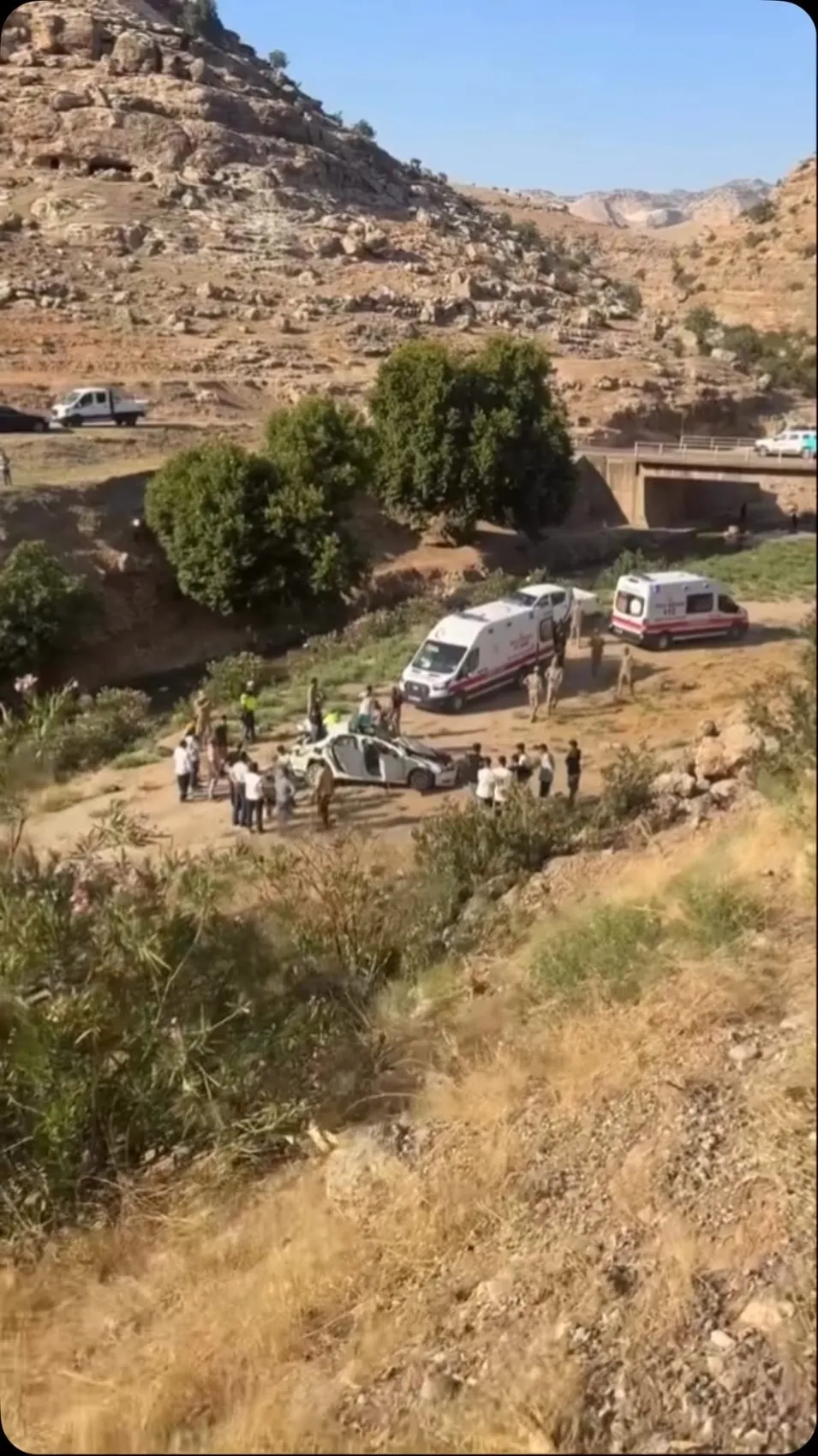 Şırnak'ta gece vakti feci kaza Dört kişi yaşam mücadelesi veriyor