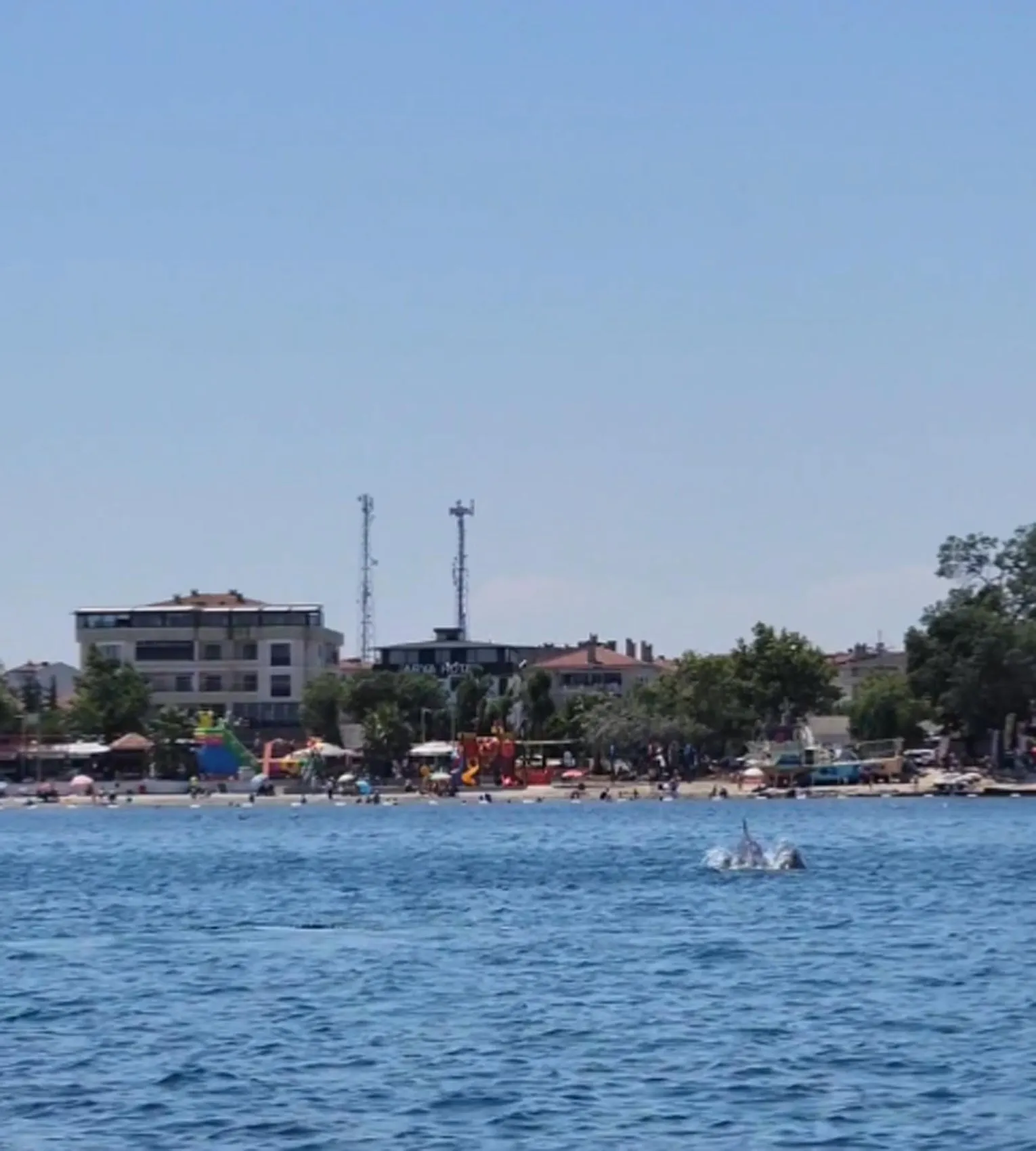Marmara’nın maviliğinde iki yunus sürpriz yaptı