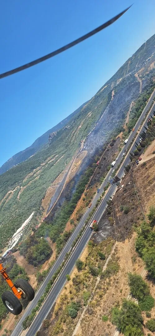 Bornova’da orman yangını korkuttu