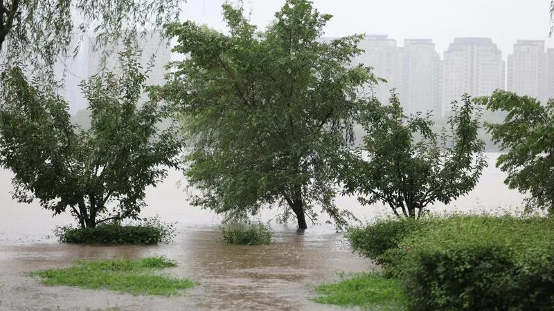 Çin'de Bavi Tayfunu alarmı 260 bin kişi güvenli bölgelere taşındı