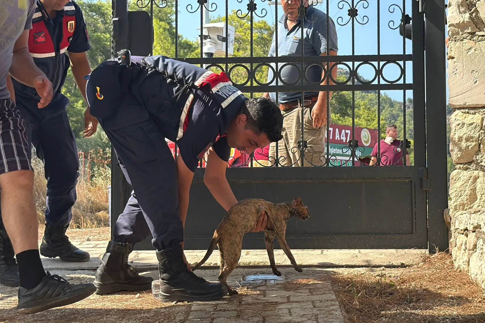 Antalya yangınlarla mücadele ediyor Kumluca yolunda alevler yükseliyor