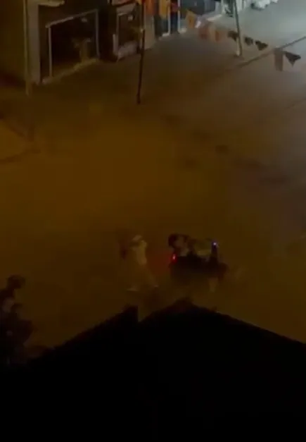Kozan sokaklarında dehşet saçan saldırgan yakalandı