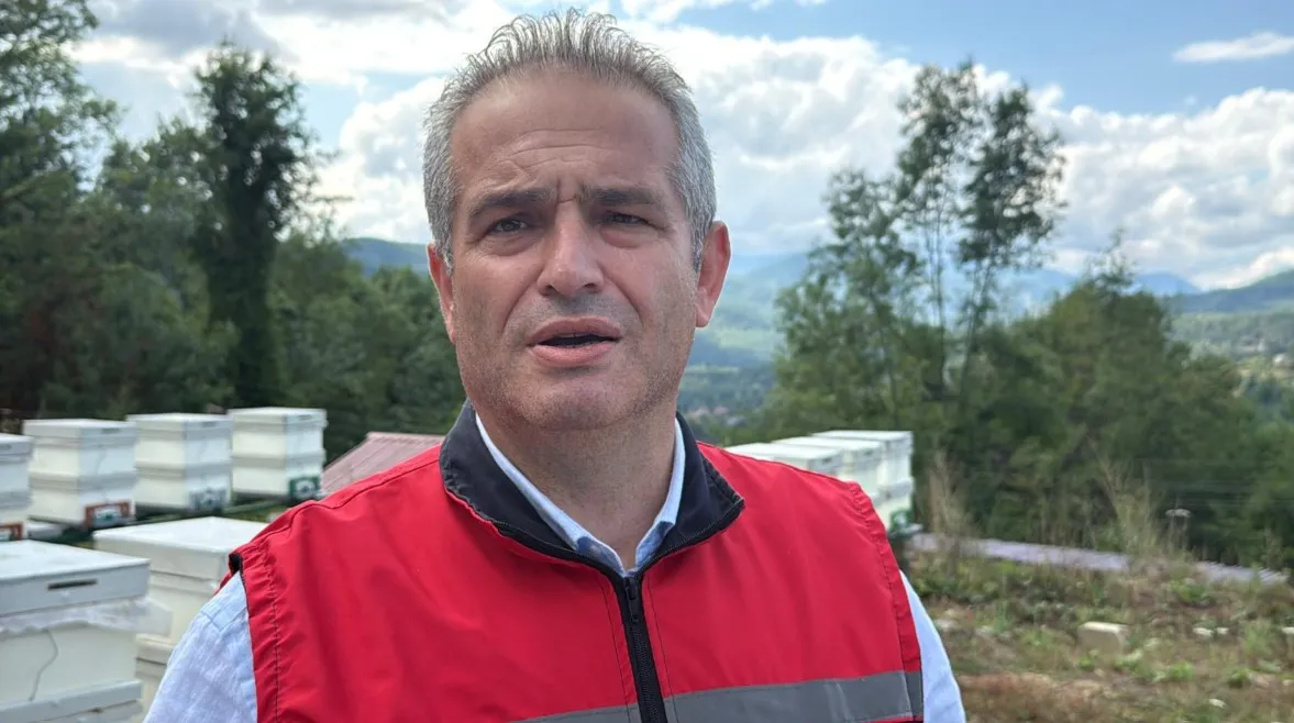 Avrupa tescilli Yenice ıhlamur balında sezon başladı