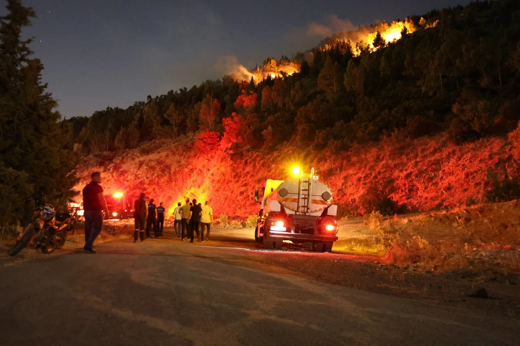 İzmir Bornova'da orman yangını paniği