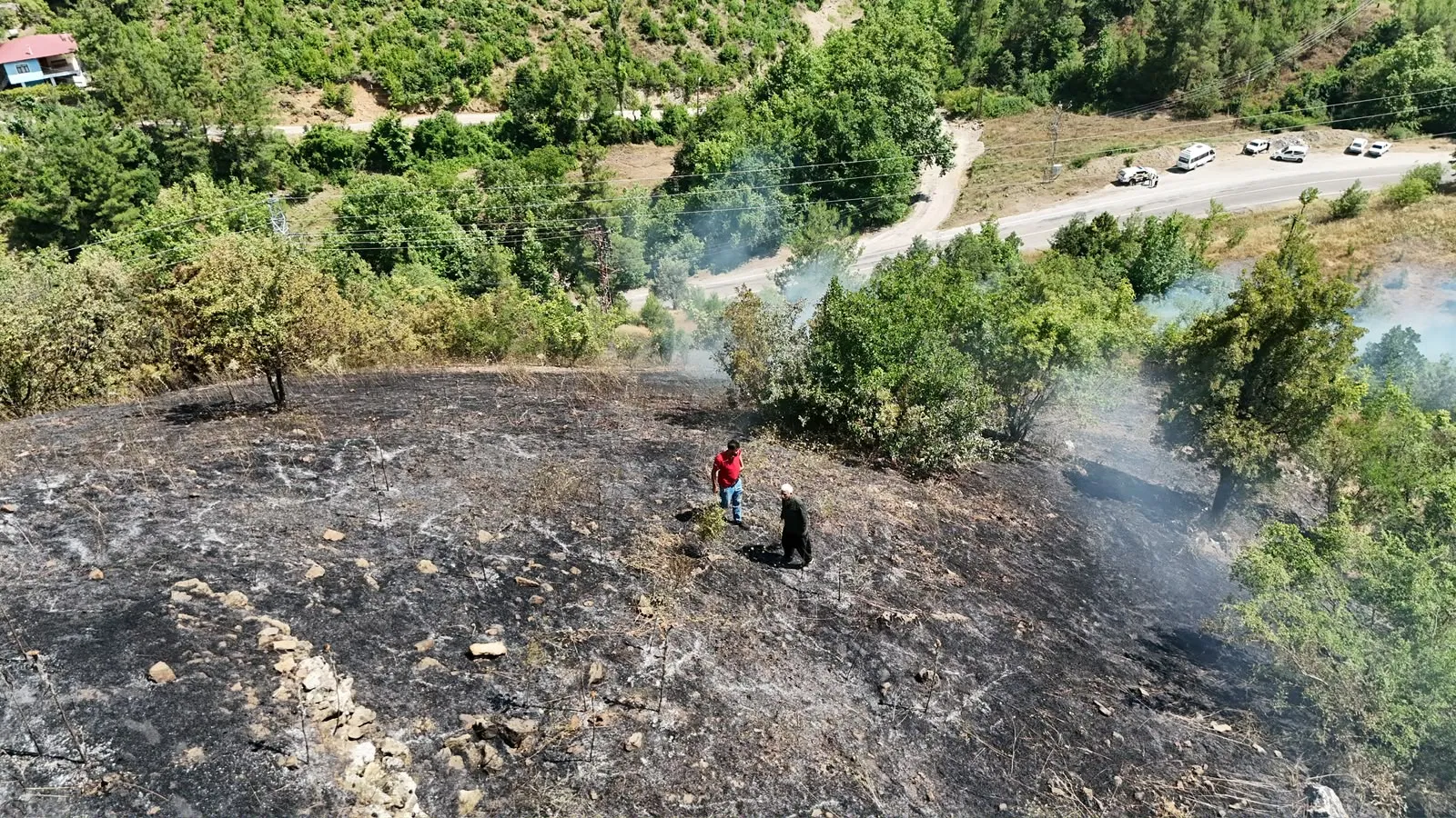 Adana Feke’de orman yangını başladı