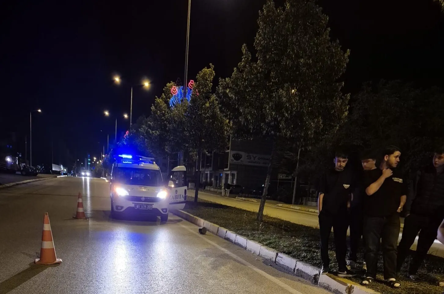 Düzce'de gece vakti yola çıkan inek motosikletle çarpıştı