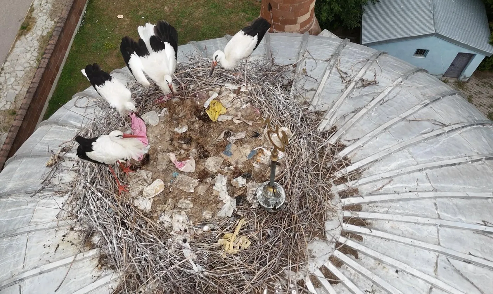 Patnos’un beklediği misafirler aylarca gecikmeli geldi