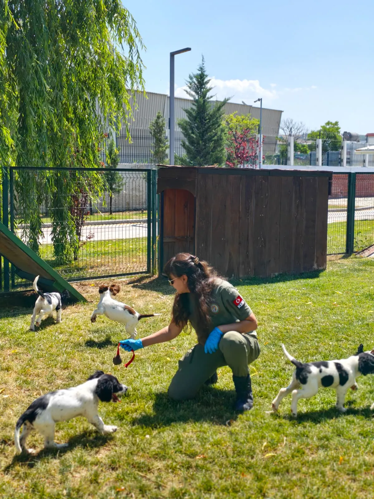 Sınırların yeni dedektör köpekleri eğitimlere başladı