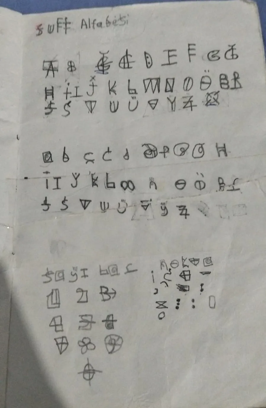 13 yaşındaki Aras kendi ülkesini kurdu Alfabe, para ve anayasa hazır