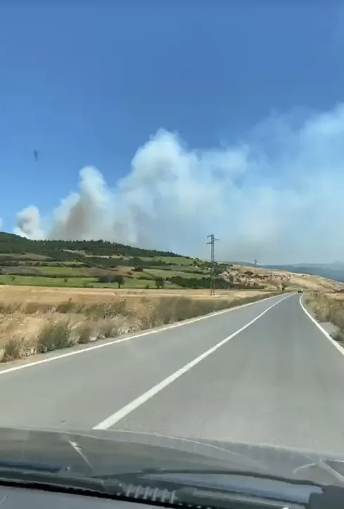 Susurluk ormanlarında dumanlar yükseliyor