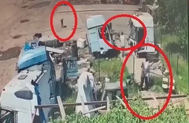 Silopi'de köpek dehşeti Baba ve amca saniyelerle yarıştı