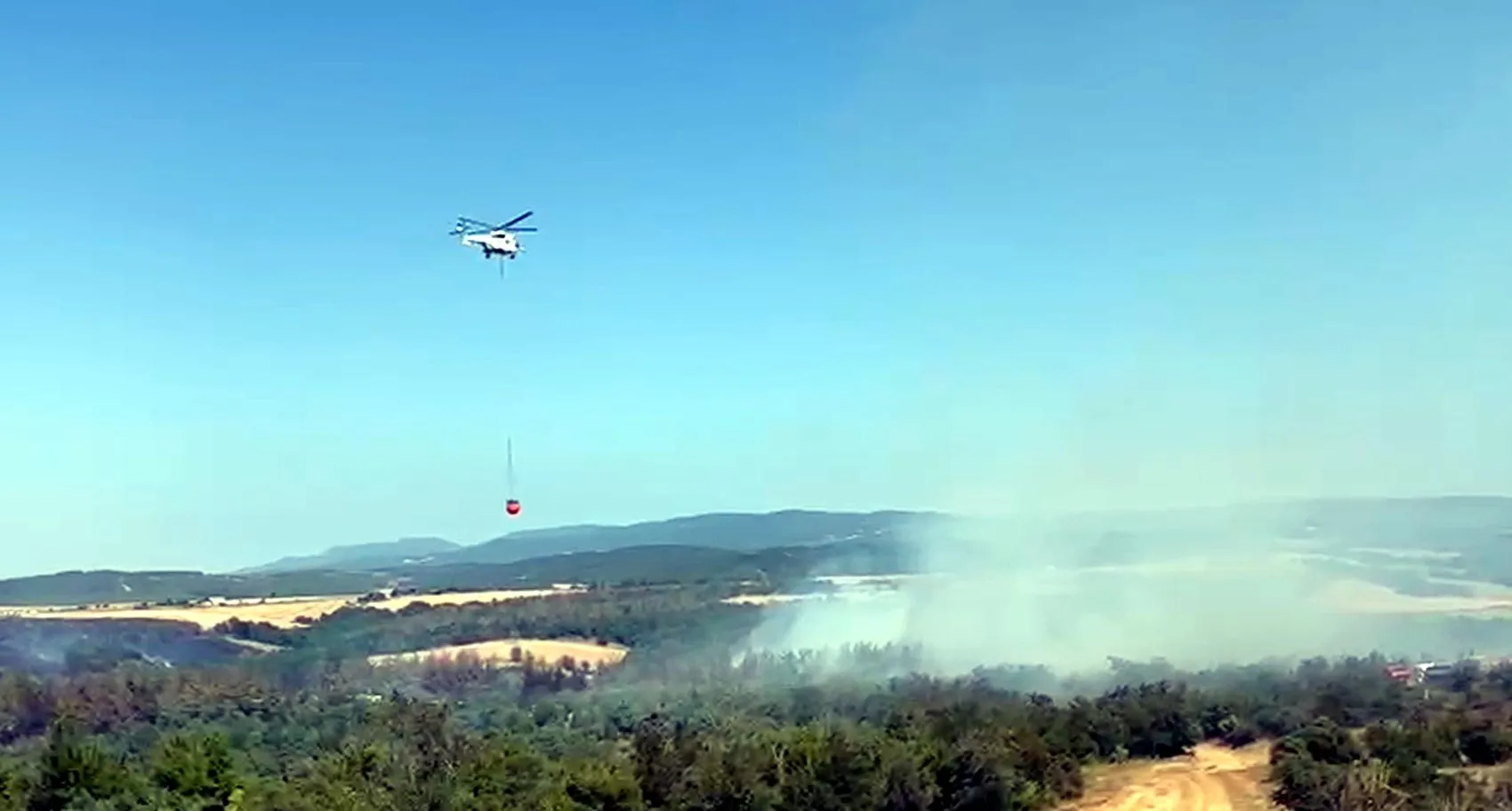 Tekirdağ Şarköy'de anız yangını ormana sıçradı